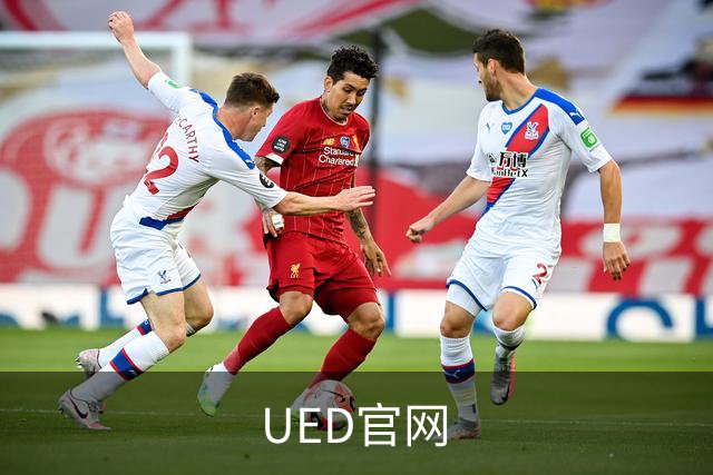 UED官网公司简介展示图